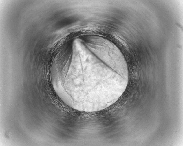 X0000093221015200710241212