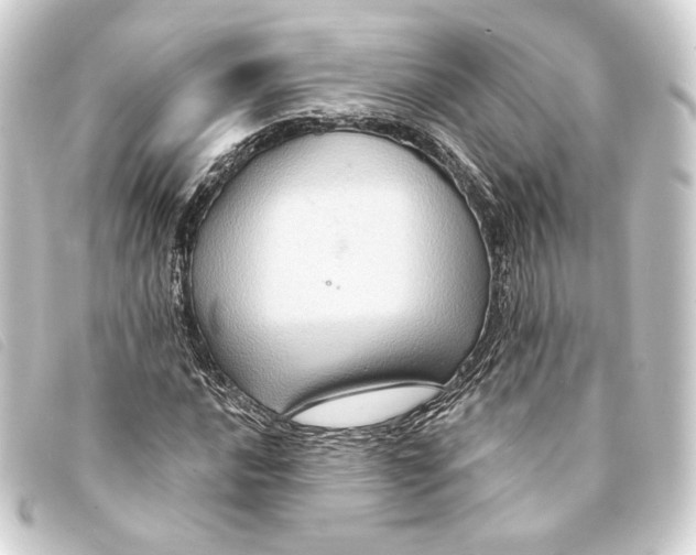 X0000093221016200710241212