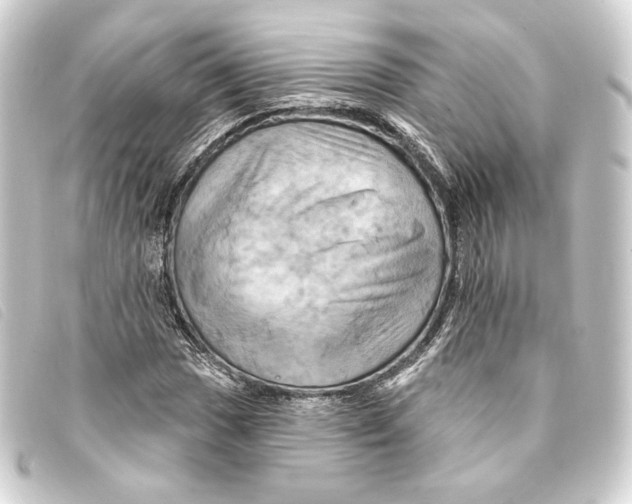 X0000093221017200710241212