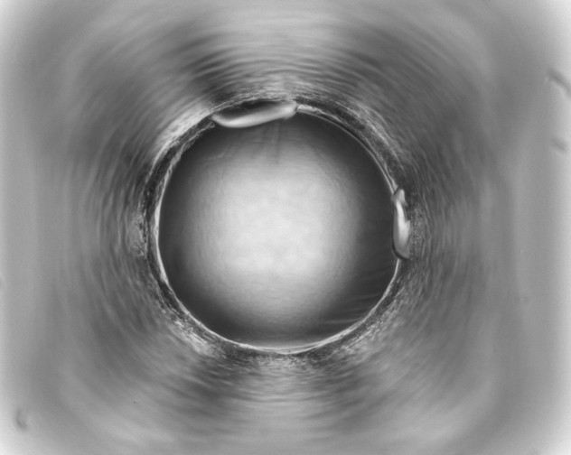 X0000093221018200710241212