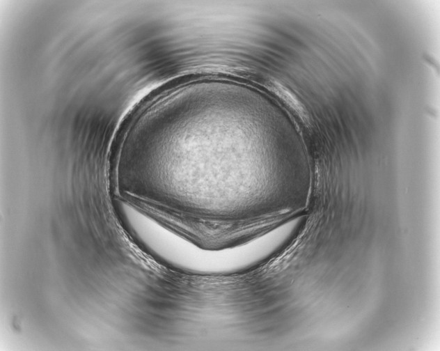 X0000093221020200710241212