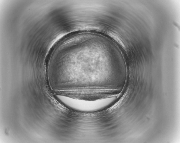 X0000093221021200710241212