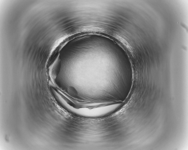 X0000093221022200710241212