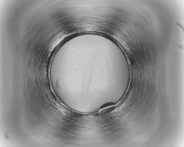 X0000093221023200710241213