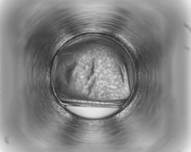 X0000093221025200710241213