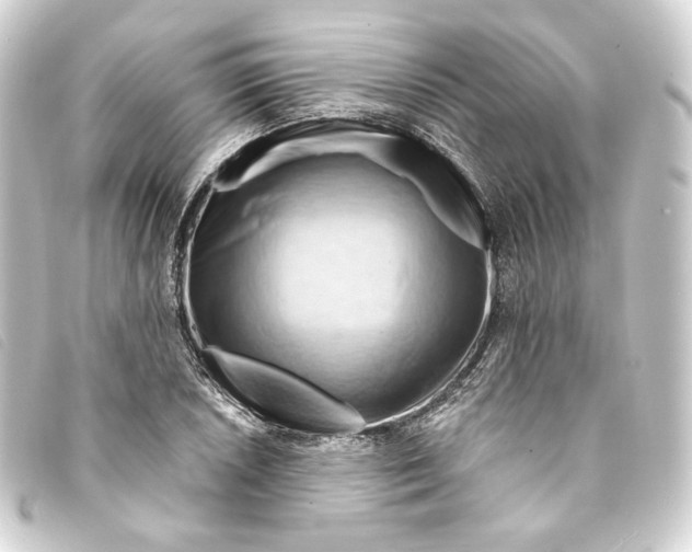 X0000093221026200710241213