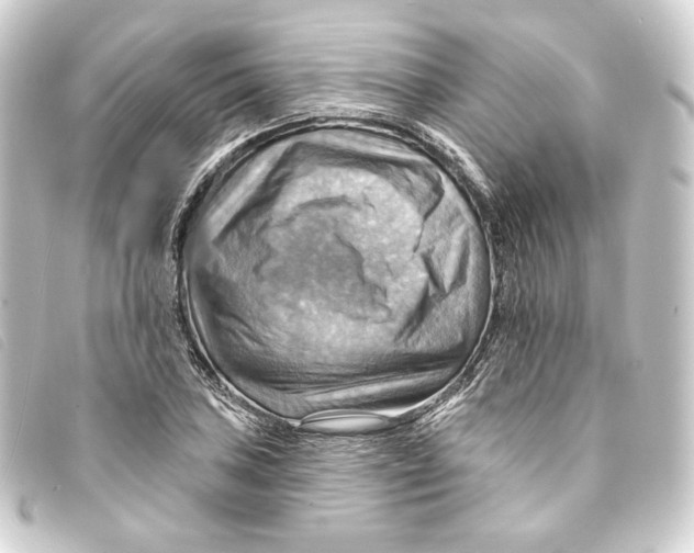 X0000093221027200710241213