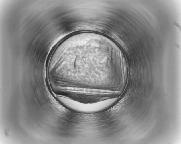 X0000093221028200710241213