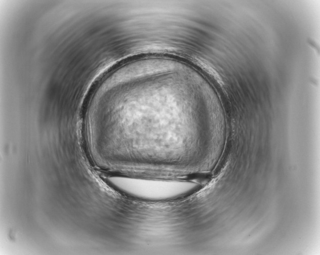 X0000093221029200710241213