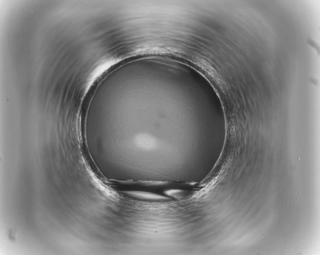 X0000093221030200710241213