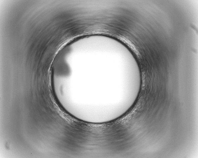 X0000093221031200710241213