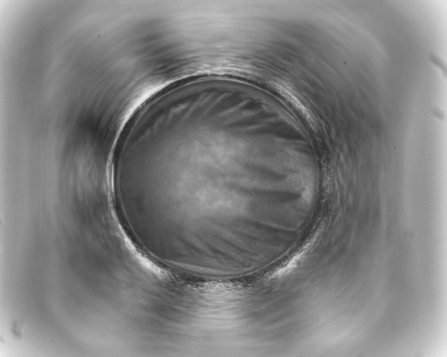 X0000093221032200710241213