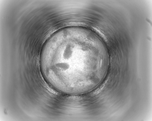 X0000093221033200710241213