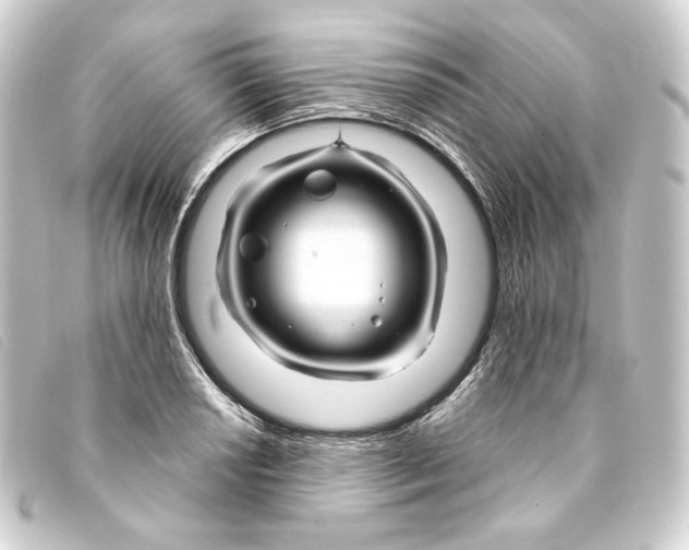 X0000093221034200710241213