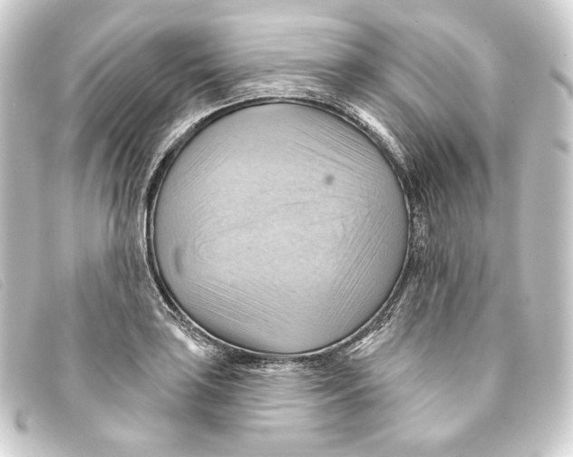 X0000093221035200710241213