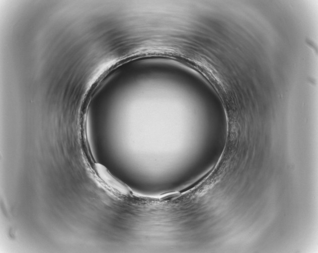 X0000093221038200710241213