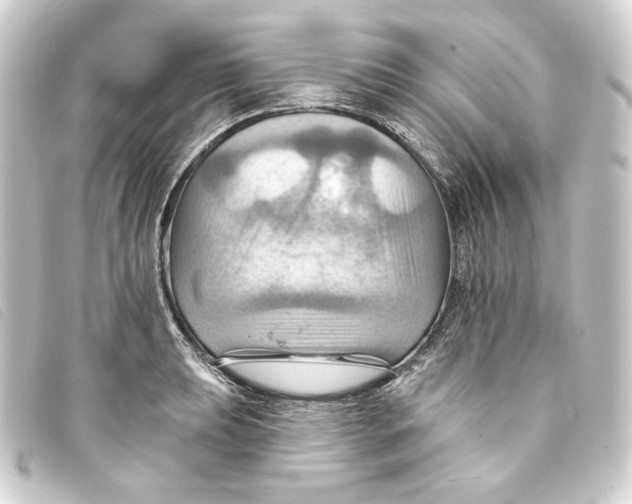 X0000093221039200710241213