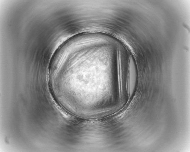 X0000093221040200710241213