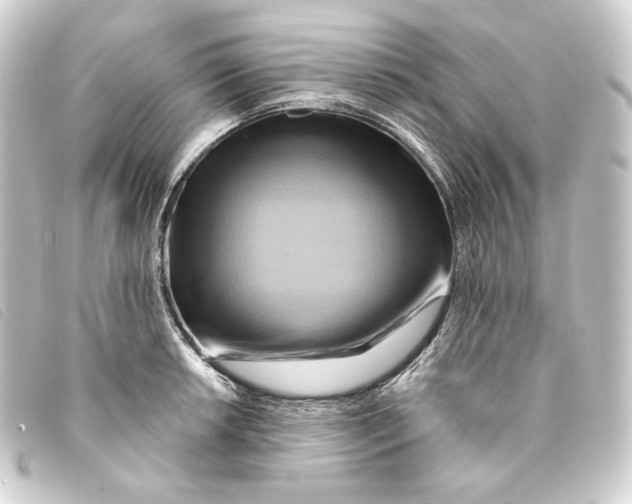 X0000093221042200710241213