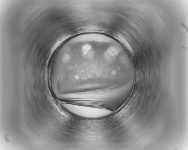 X0000093221043200710241213