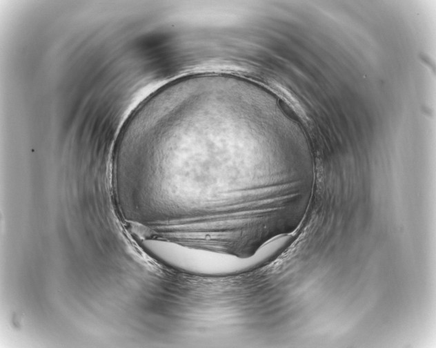 X0000093221044200710241213