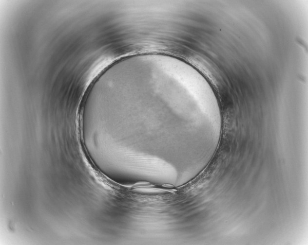 X0000093221047200710241213