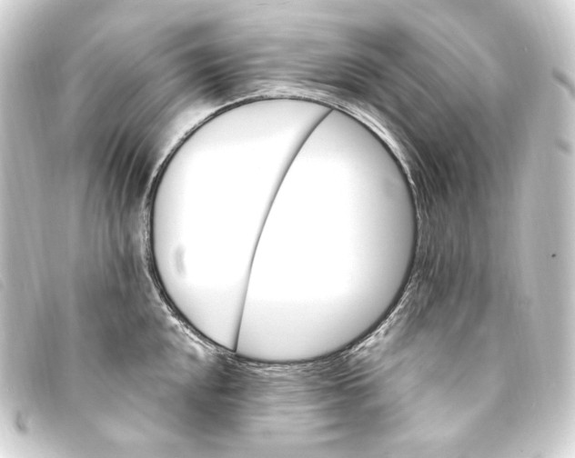 X0000093221048200710241213