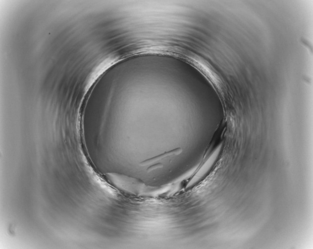 X0000093221050200710241213