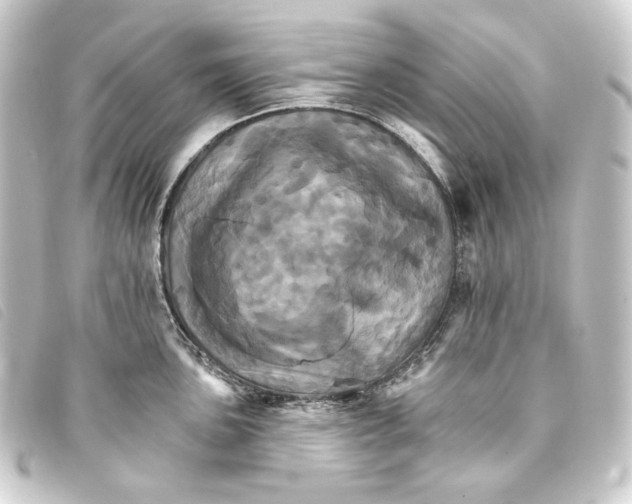 X0000093221051200710241213