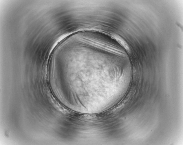 X0000093221052200710241213