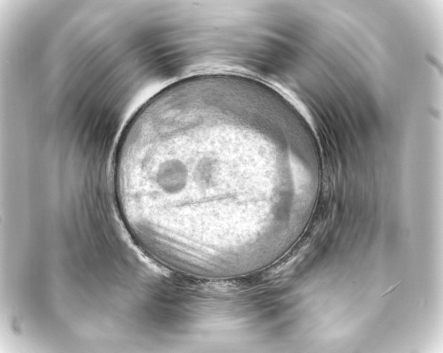 X0000093221053200710241213