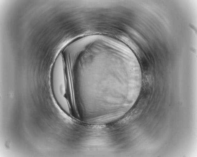 X0000093221055200710241213