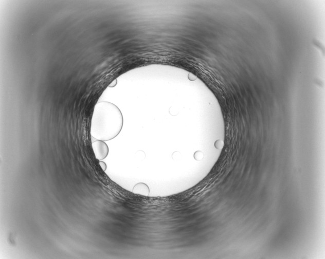 X0000093221058200710241212