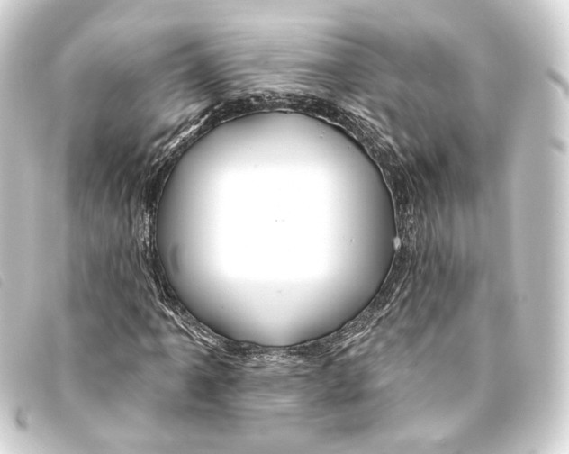 X0000093221061200710241212