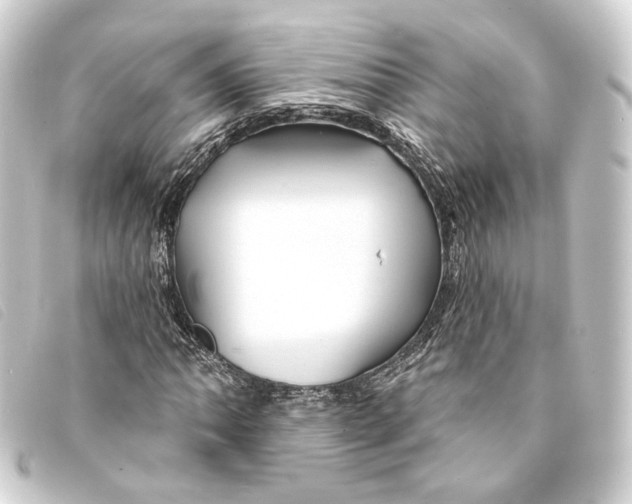 X0000093221062200710241212