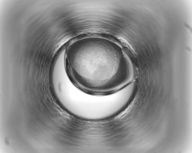 X0000093221065200710241212