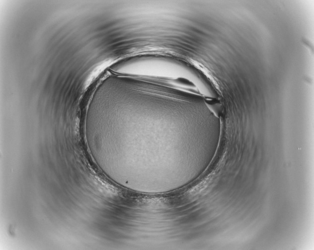 X0000093221066200710241212