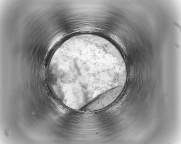 X0000093221067200710241212