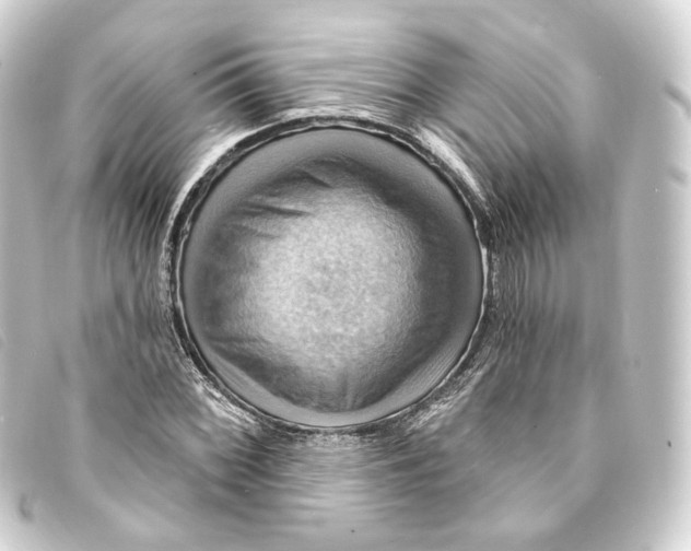 X0000093221068200710241212