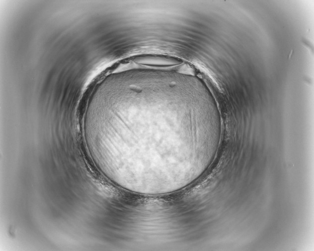 X0000093221070200710241212