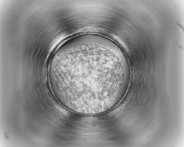 X0000093221075200710241212