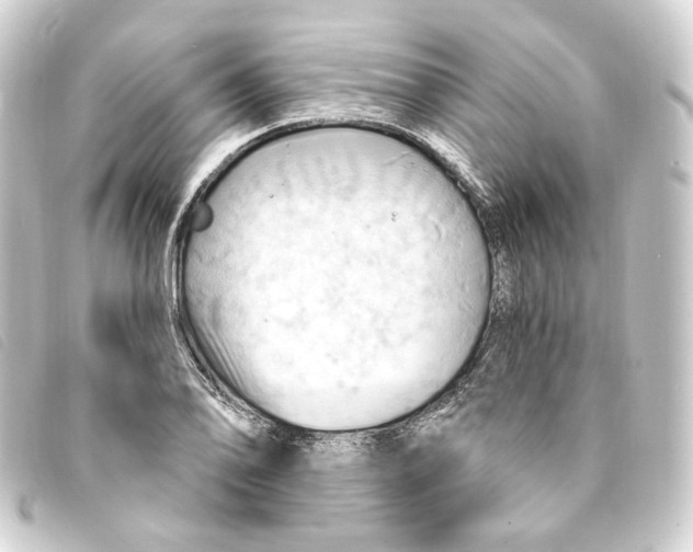 X0000093221078200710241212