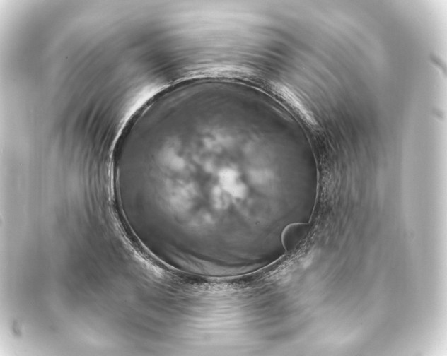 X0000093221079200710241212