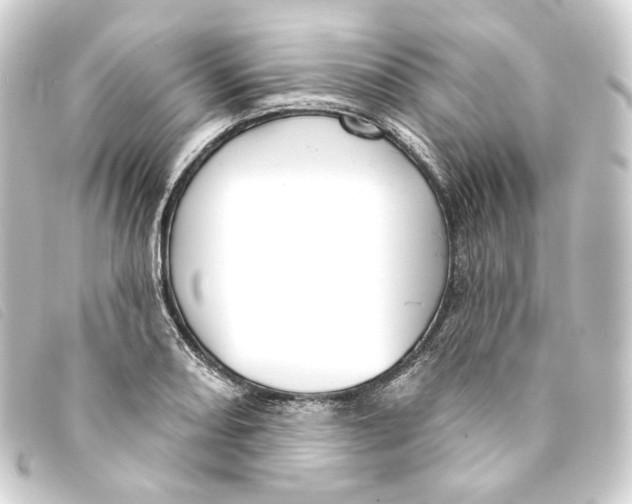 X0000093221082200710241212