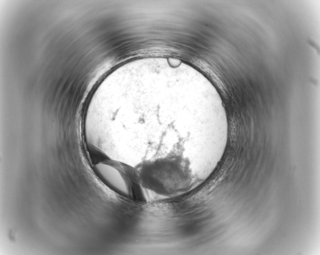 X0000093221083200710241212