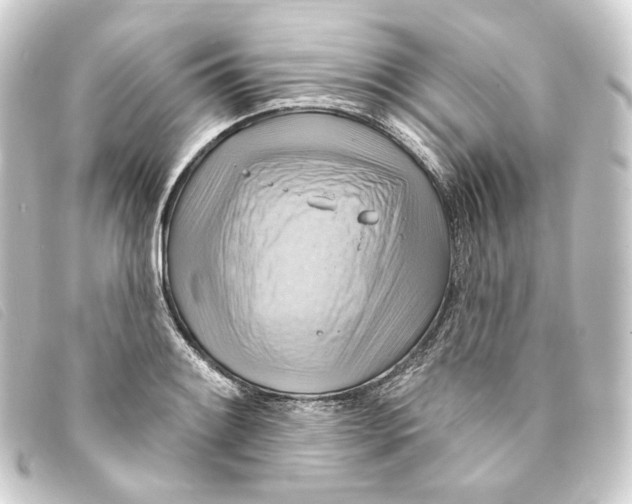 X0000093221084200710241212