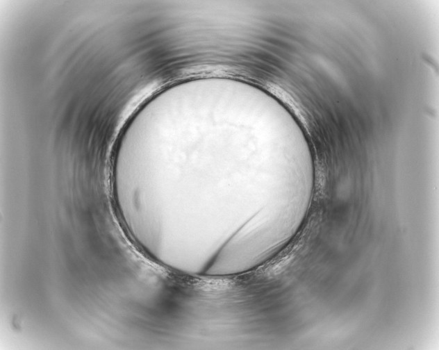 X0000093221090200710241212