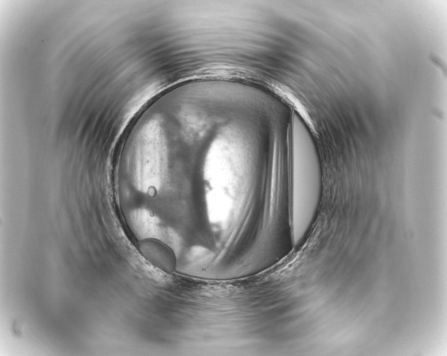 X0000093221091200710241212