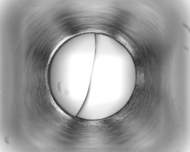 X0000093221092200710241212