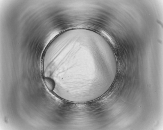 X0000093221095200710241212